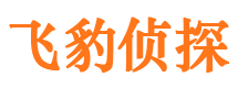 吉县市调查公司